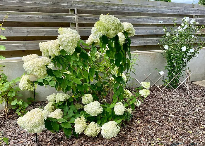 Au Renard Baulois - D'hotes Frühstückspension