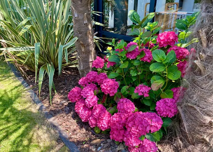 Au Renard Baulois - D'hotes